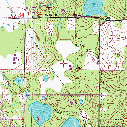 Topographic Map of Lake Coroni, FL
