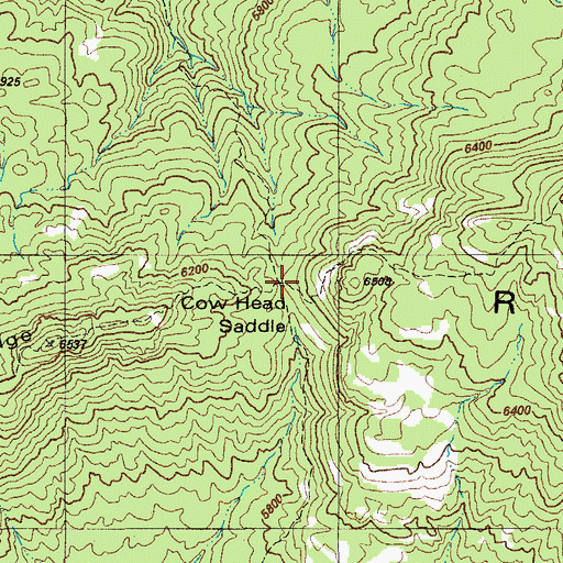 Topographic Map of Cow Head Saddle, AZ