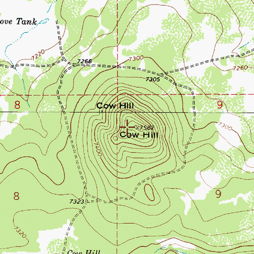 Topographic Map of Cow Hill, AZ