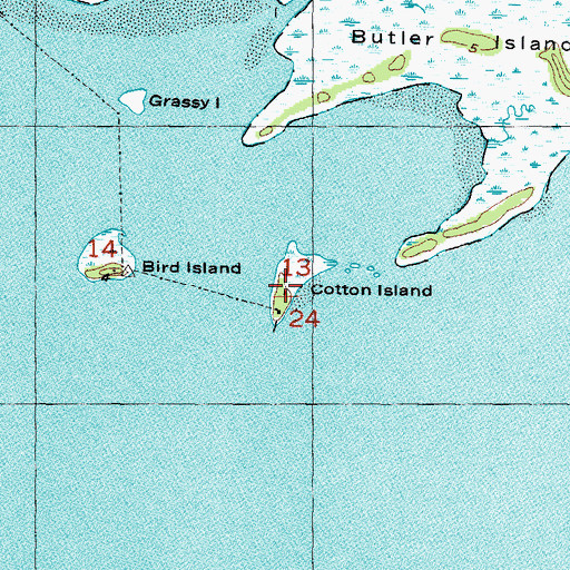 Topographic Map of Cotton Island, FL