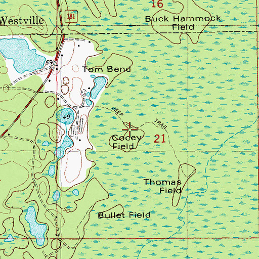 Topographic Map of Cooey Field, FL