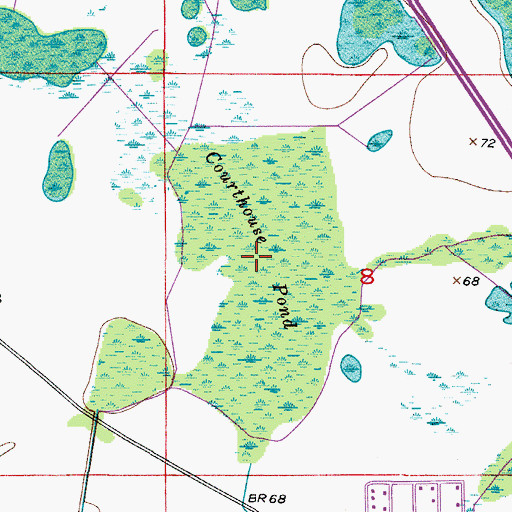 Topographic Map of Courthouse Pond, FL