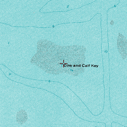 Topographic Map of Cow and Calf Key, FL