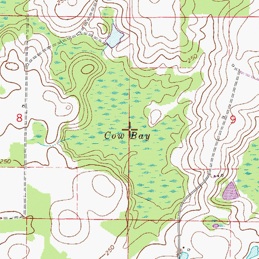 Topographic Map of Cow Bay, FL