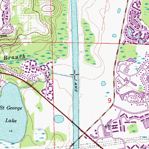 Topographic Map of Cow Branch, FL