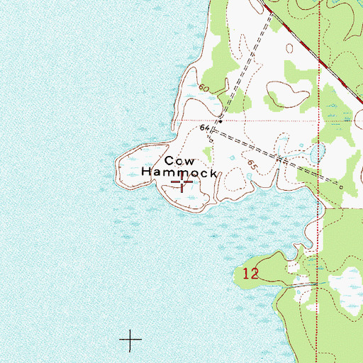 Topographic Map of Cow Hammock, FL