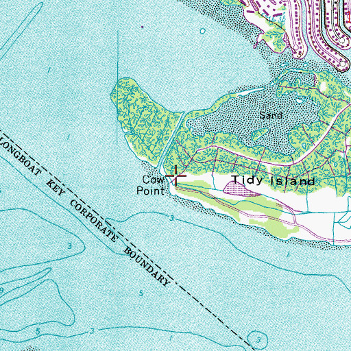 Topographic Map of Cow Point, FL