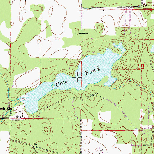 Topographic Map of Cow Pond, FL