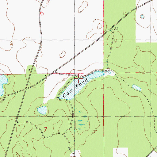 Topographic Map of Cow Pond, FL