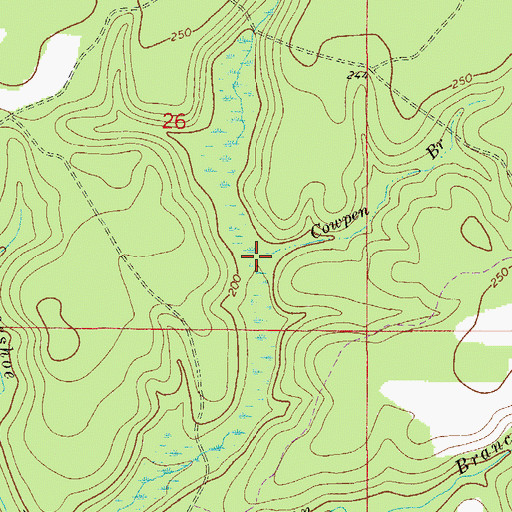 Topographic Map of Cowpen Branch, FL