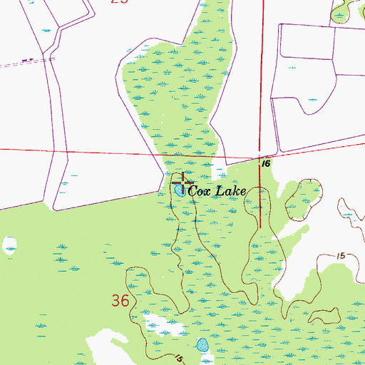 Topographic Map of Cox Lake, FL