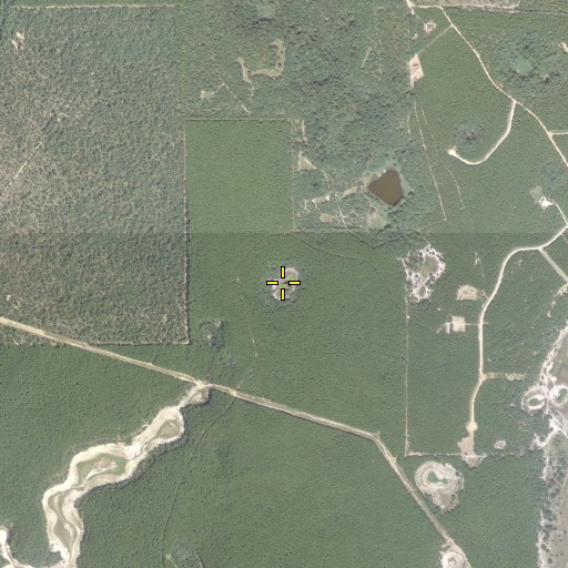 Aerial/Satellite Image of Cox Pond, FL