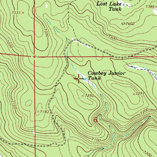 Topographic Map of Cowboy Junior Tank, AZ