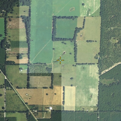 Aerial/Satellite Image of Crabgrass Pond, FL