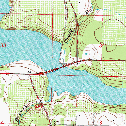 Topographic Map of Craig Branch, FL