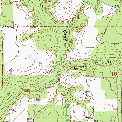 Topographic Map of Cross Branch, FL