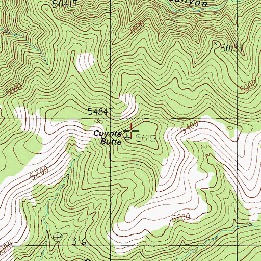 Topographic Map of Coyote Butte, AZ