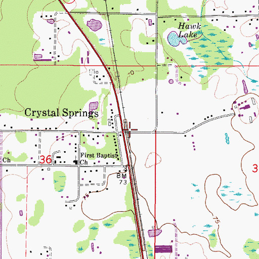 Topographic Map of Crystal Springs, FL