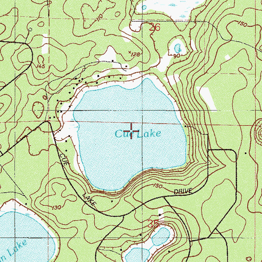 Topographic Map of Cue Lake, FL