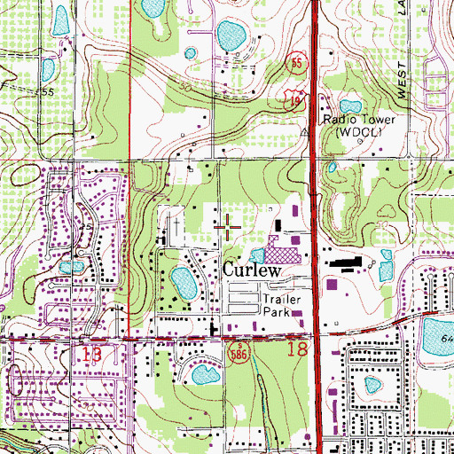 Topographic Map of Curlew, FL