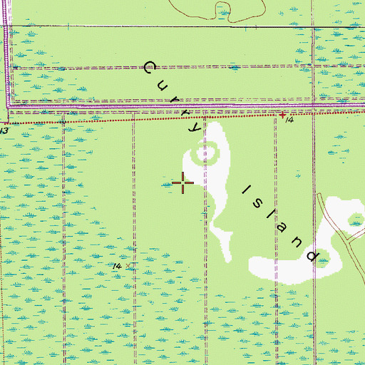Topographic Map of Curry Island, FL