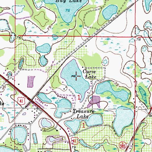Topographic Map of Curve Lake, FL