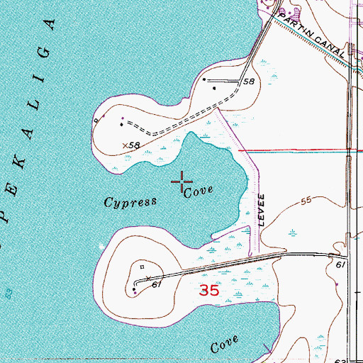 Topographic Map of Cypress Cove, FL