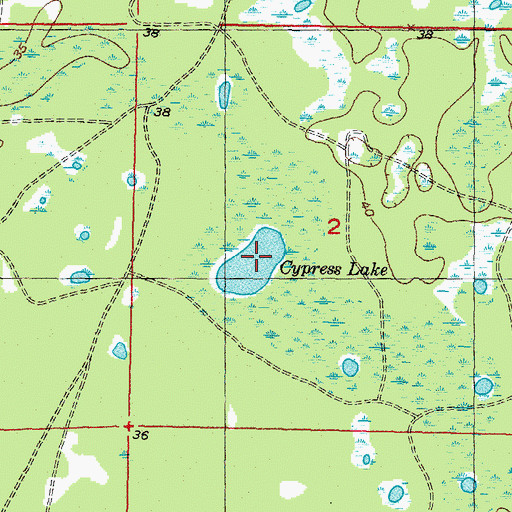 Topographic Map of Cypress Lake, FL