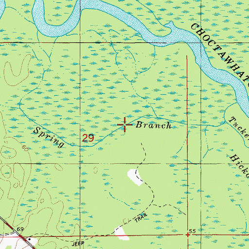 Topographic Map of Spring Branch, FL