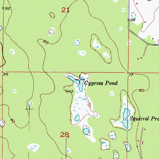 Topographic Map of Cypress Pond, FL