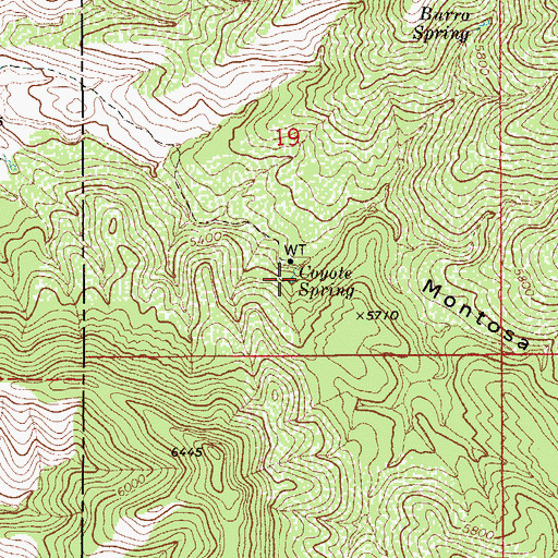 Topographic Map of Coyote Spring, AZ