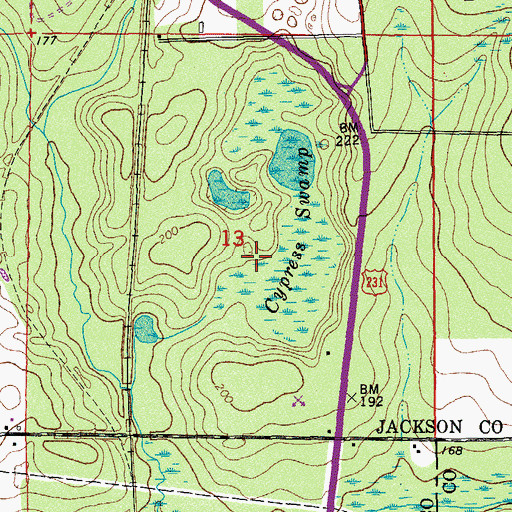 Topographic Map of Cypress Swamp, FL