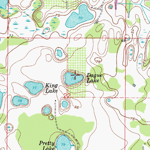 Topographic Map of Dague Lake, FL