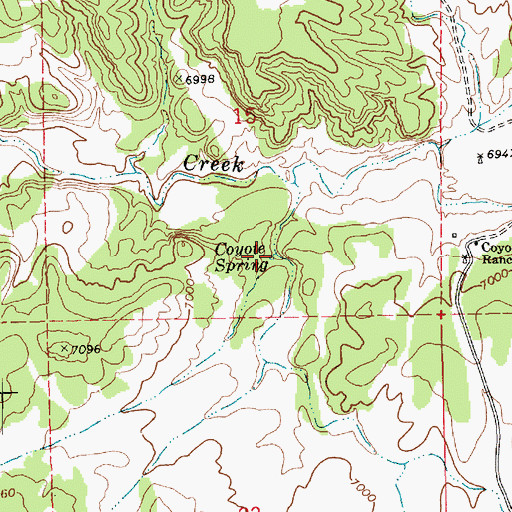 Topographic Map of Coyote Spring, AZ