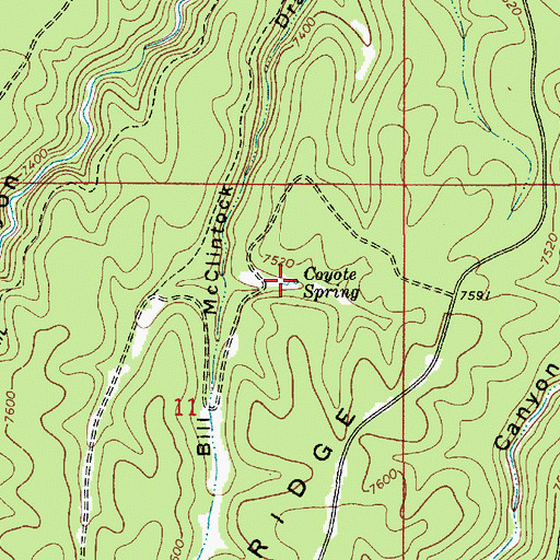 Topographic Map of Coyote Spring, AZ