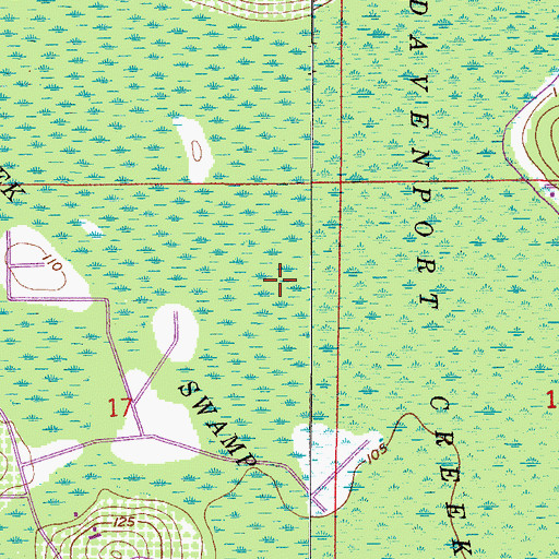 Topographic Map of Davenport Creek Swamp, FL