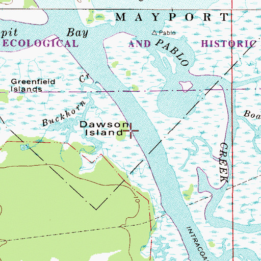 Topographic Map of Dawson Island, FL