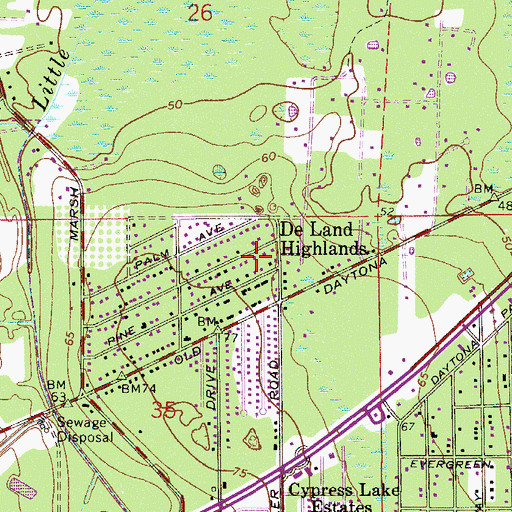 Topographic Map of DeLand Highlands, FL