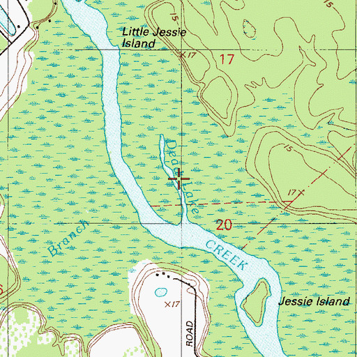 Topographic Map of Dead Lake, FL