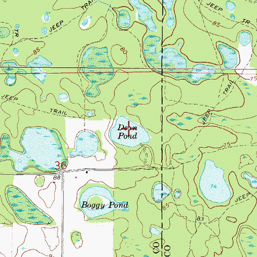 Topographic Map of Dean Pond, FL