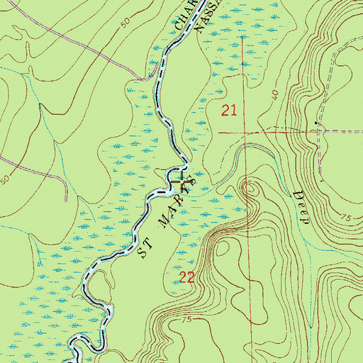 Topographic Map of Deep Creek, FL