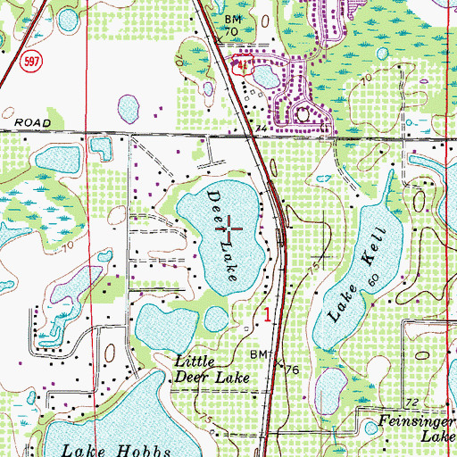 Topographic Map of Deer Lake, FL