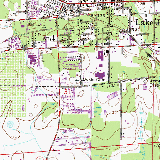 Topographic Map of Dekle Cemetery, FL