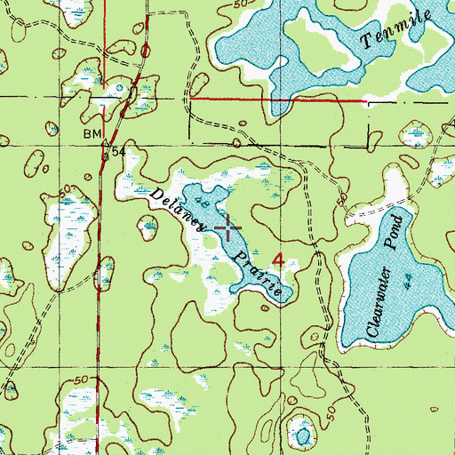 Topographic Map of Delaney Prairie, FL