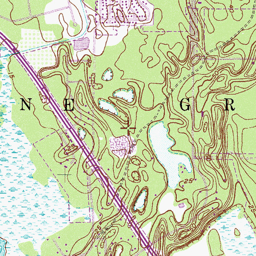 Topographic Map of Delespine Grant, FL