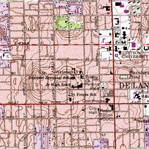 Topographic Map of Dempsie Brewster School, FL