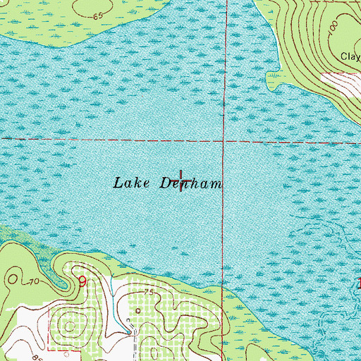 Topographic Map of Lake Denham, FL