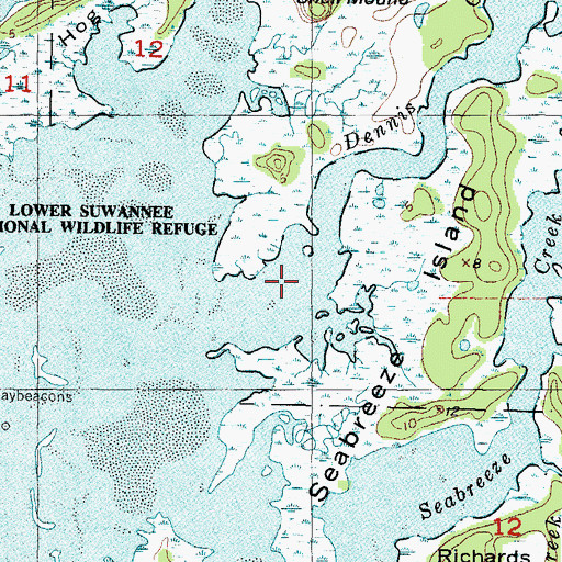 Topographic Map of Dennis Creek, FL
