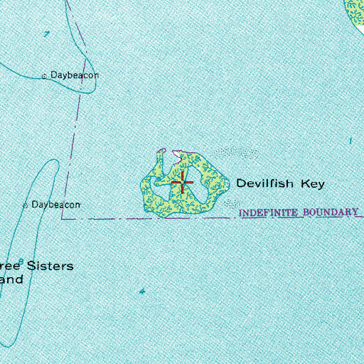 Topographic Map of Devilfish Key, FL