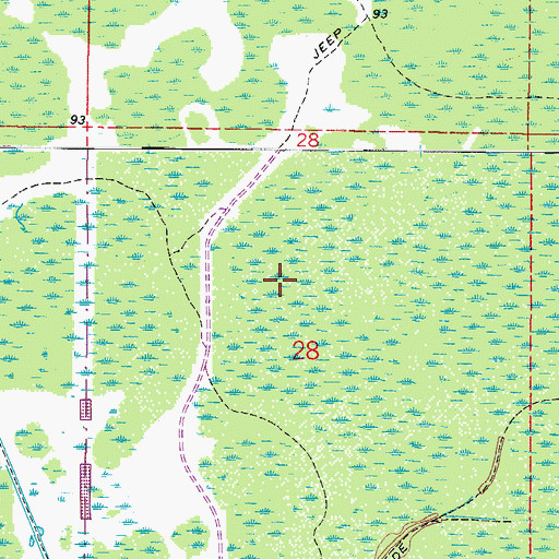Topographic Map of Devils Creek Swamp, FL
